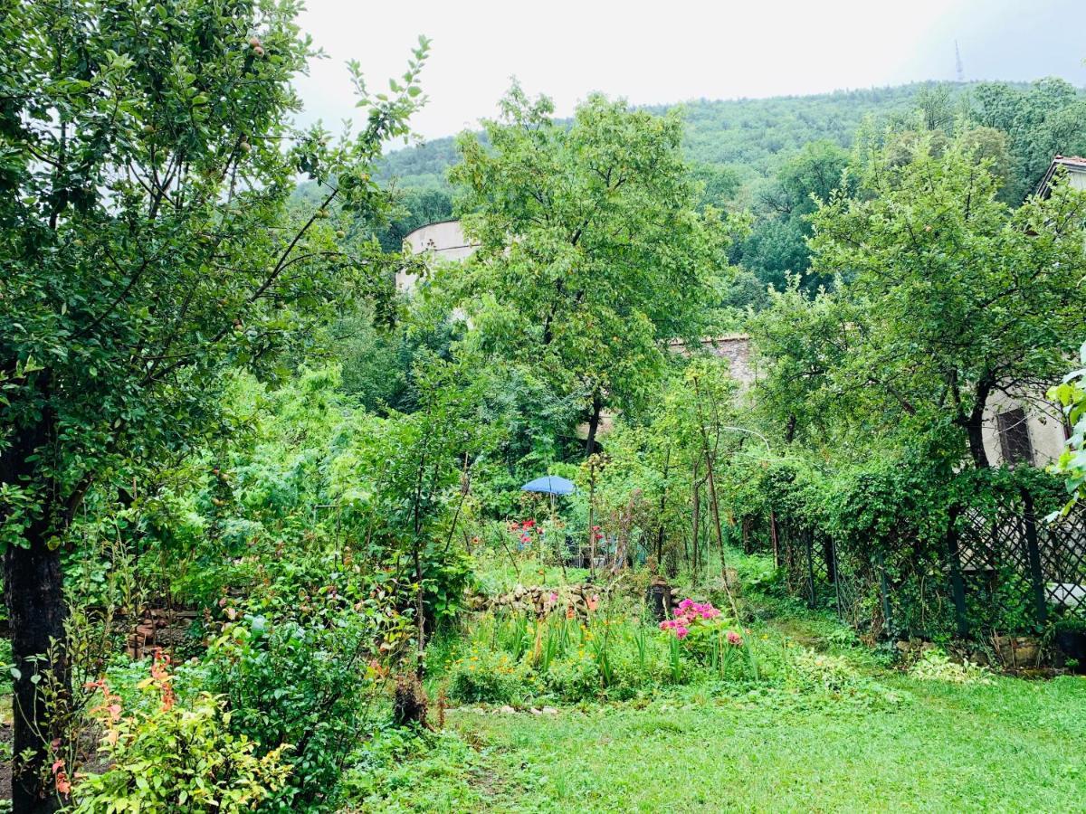 Maan Pet Friendly Location Apartment *