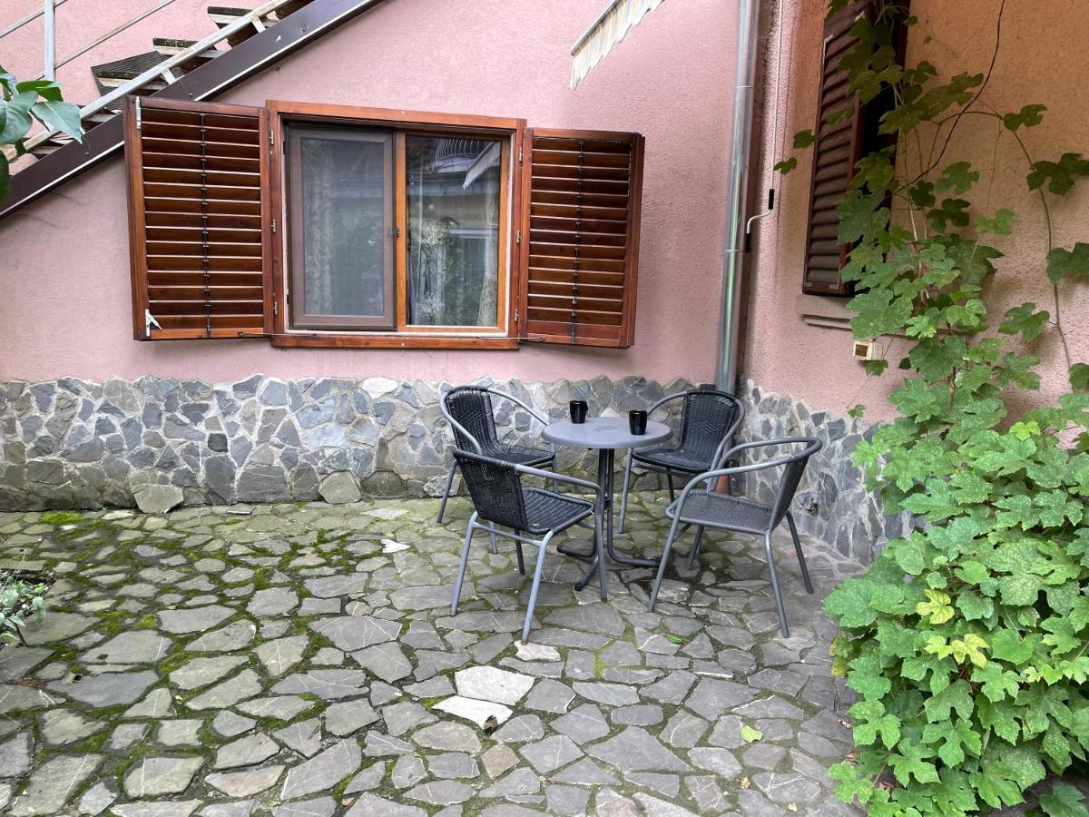 Maan Pet Friendly Location Brașov